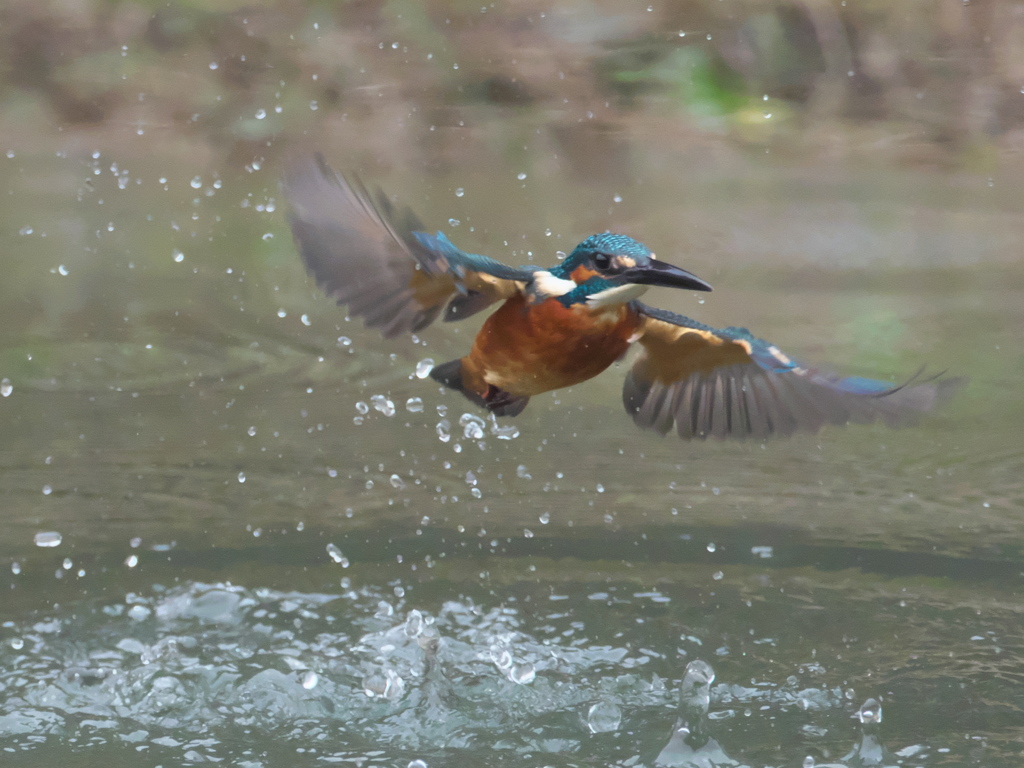 浮上 156（父親）