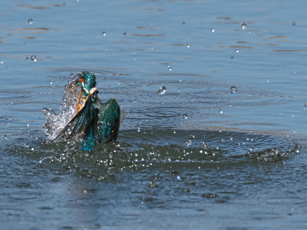 浮上 388-1（父親）
