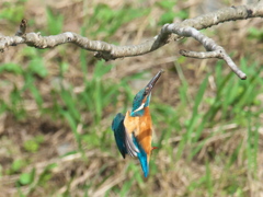 止り木へ 7-3（父親）