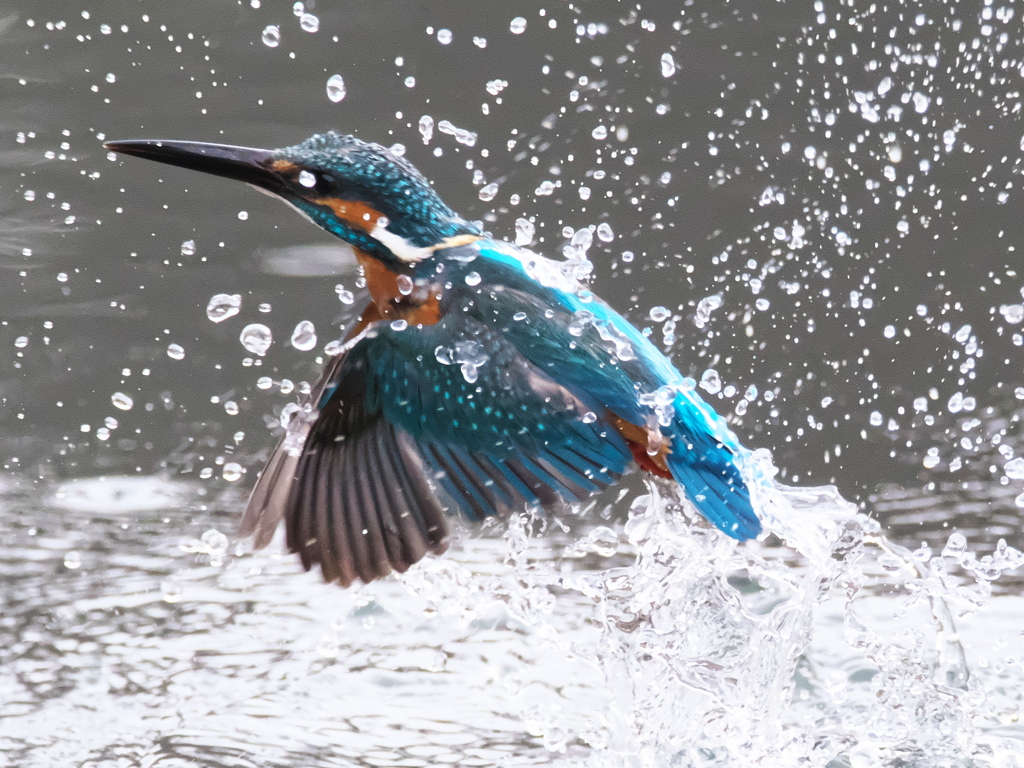 浮上 329（父親）