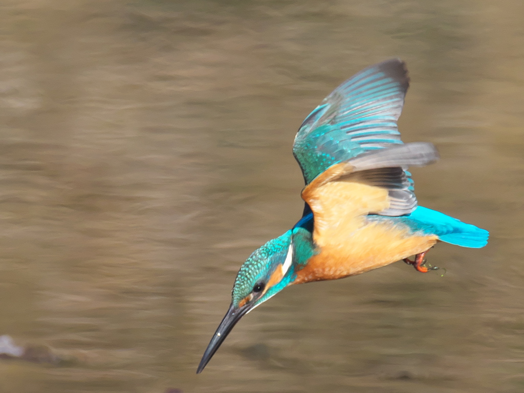 飛び込みシーケンス 29-3（父親）