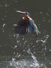 浮上 178-1（父親）