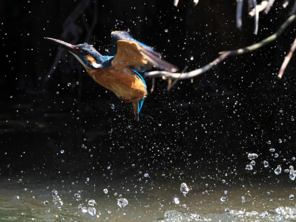 浮上 452-1（父親）