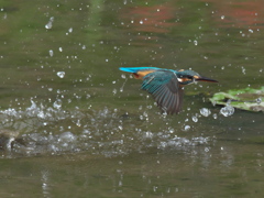 浮上 106-3（嫁候補）