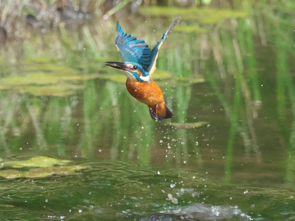 浮上 146-2（父親）