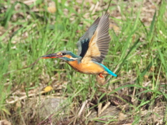 浮上 174（嫁候補）