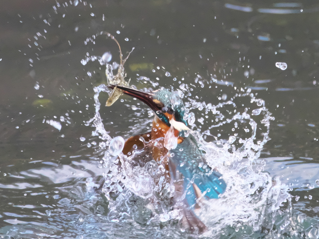 浮上 369-1（父親）