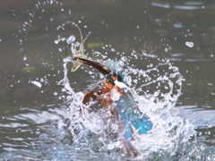 浮上 369-1（父親）