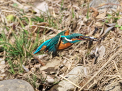 浮上 422（父親）