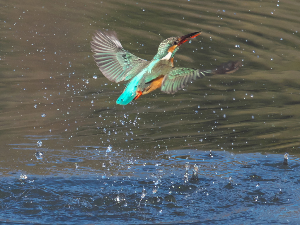 浮上 300-2（嫁候補）