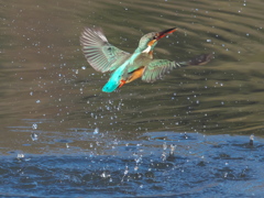 浮上 300-2（嫁候補）