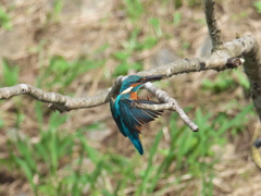 止り木へ 7-4（父親）