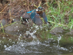 浮上 111（父親 霧雨）