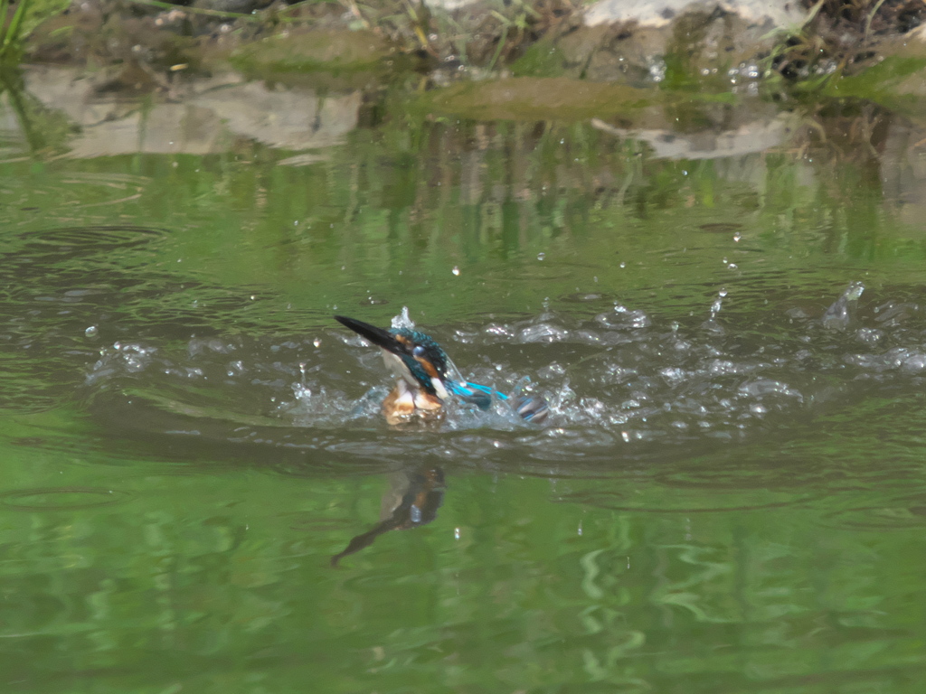 水浴び 4-4（父親）