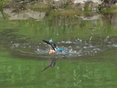 水浴び 4-4（父親）