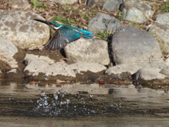 浮上 436（父親）