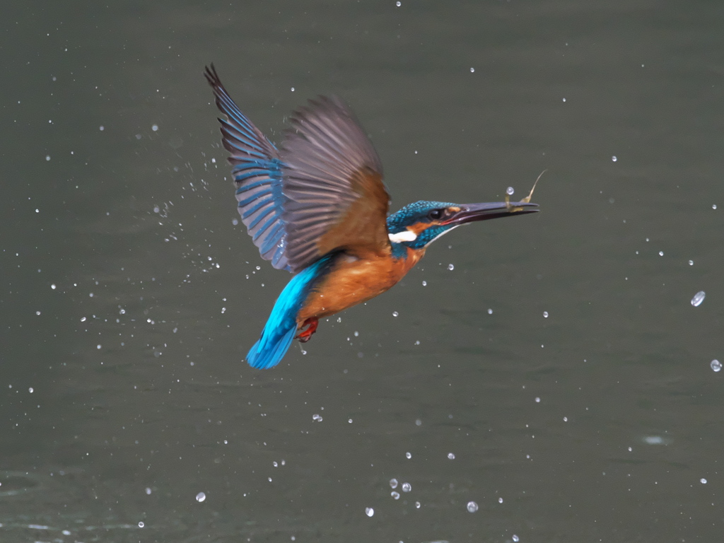 浮上 402-4（父親）