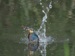 浮上 1263-2 浮上 1263-2