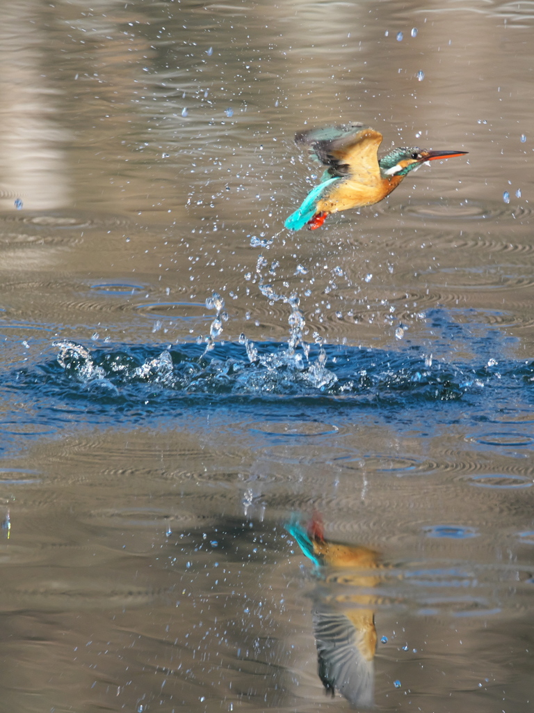 浮上 410（嫁候補）