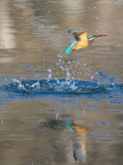 浮上 410（嫁候補）