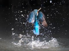 浮上 270（嫁候補）