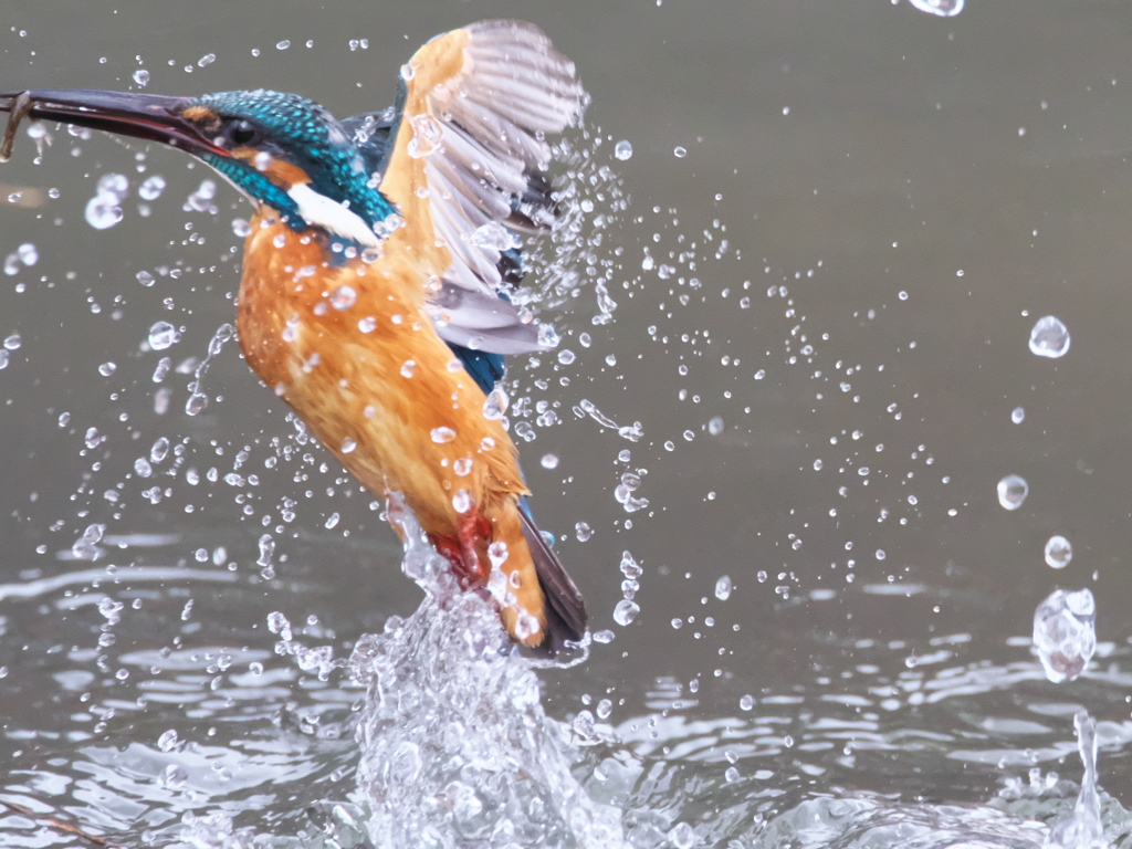 浮上 404-1（父親）