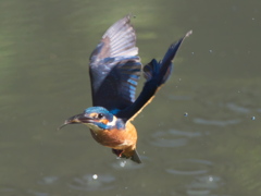 浮上 122-2（父親）