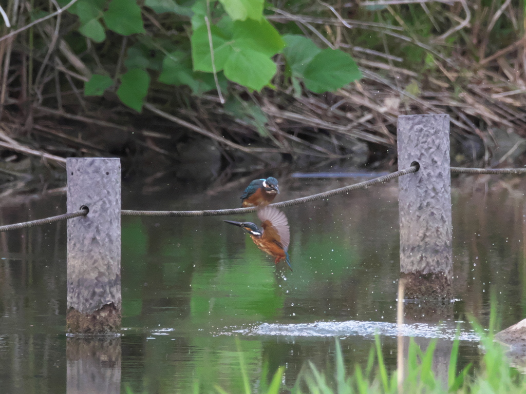 浮上 577（お手本）
