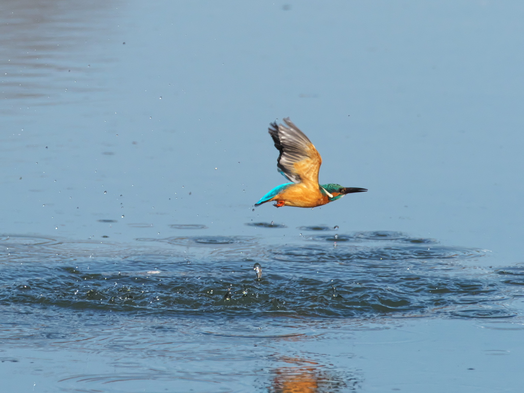 浮上 379-2（父親）