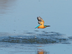 浮上 379-2（父親）