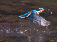 浮上 315（父親）