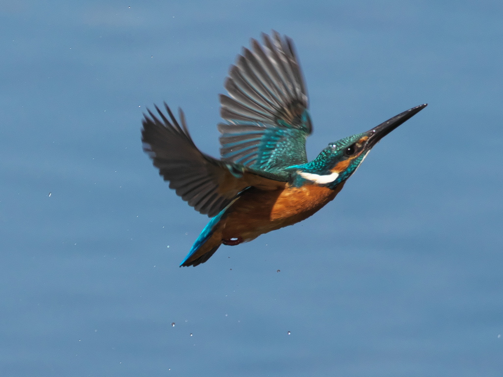 浮上 416-3（父親）