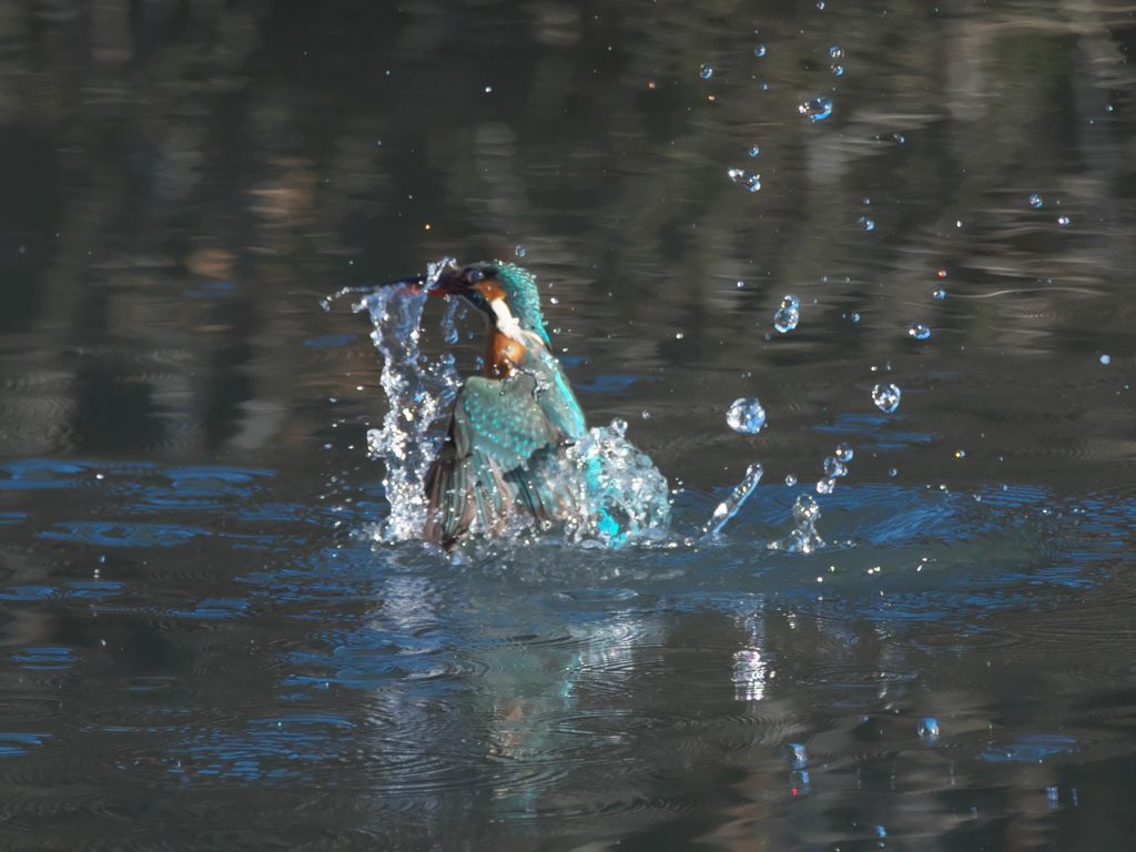 浮上 269-1（嫁候補）