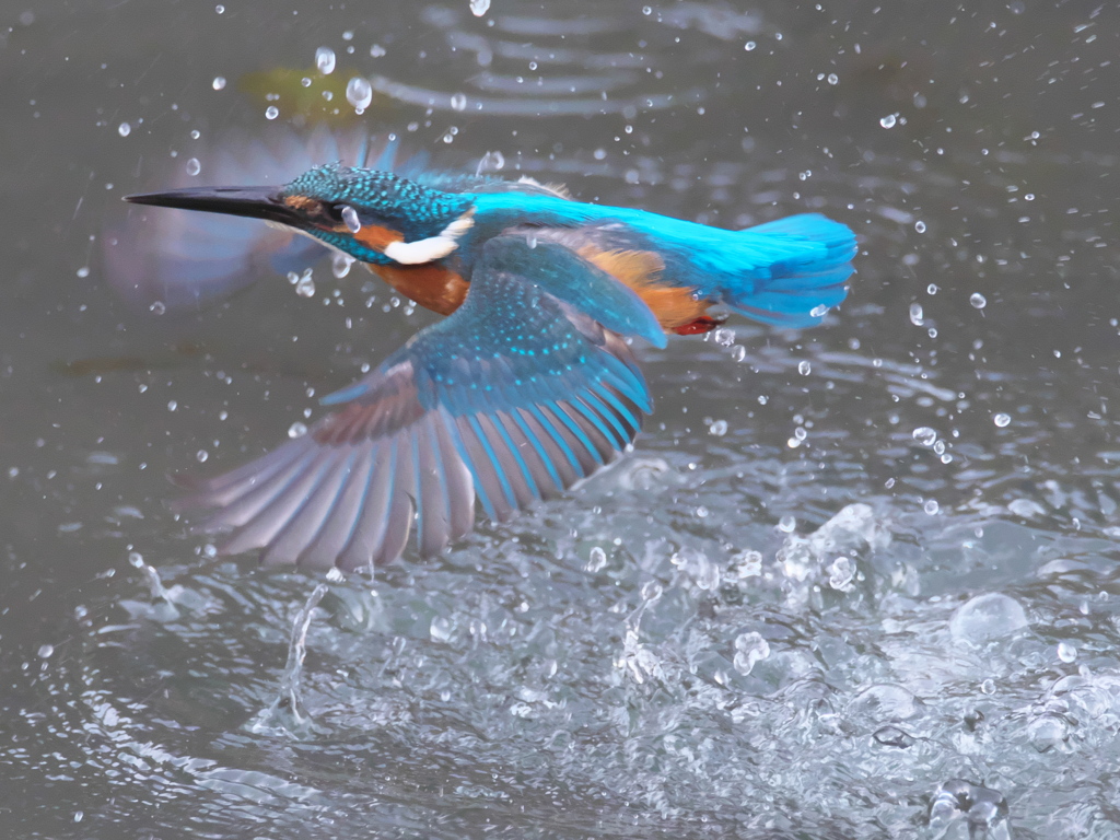 浮上 245-2（父親）