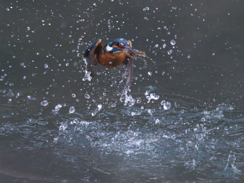 浮上 377-2（父親）