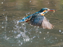 浮上 302-2（父親）