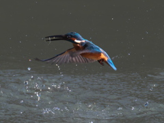 浮上 133-4（父親）