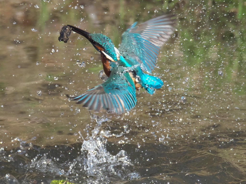 浮上 271-2（父親）