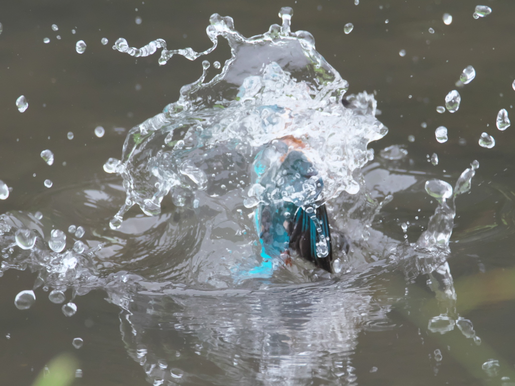 飛び込みシーケンス 19-2（父親）