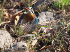 浮上 192（嫁候補）