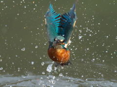 浮上 287-2（父親）