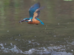 浮上 110-2（父親 霧雨）