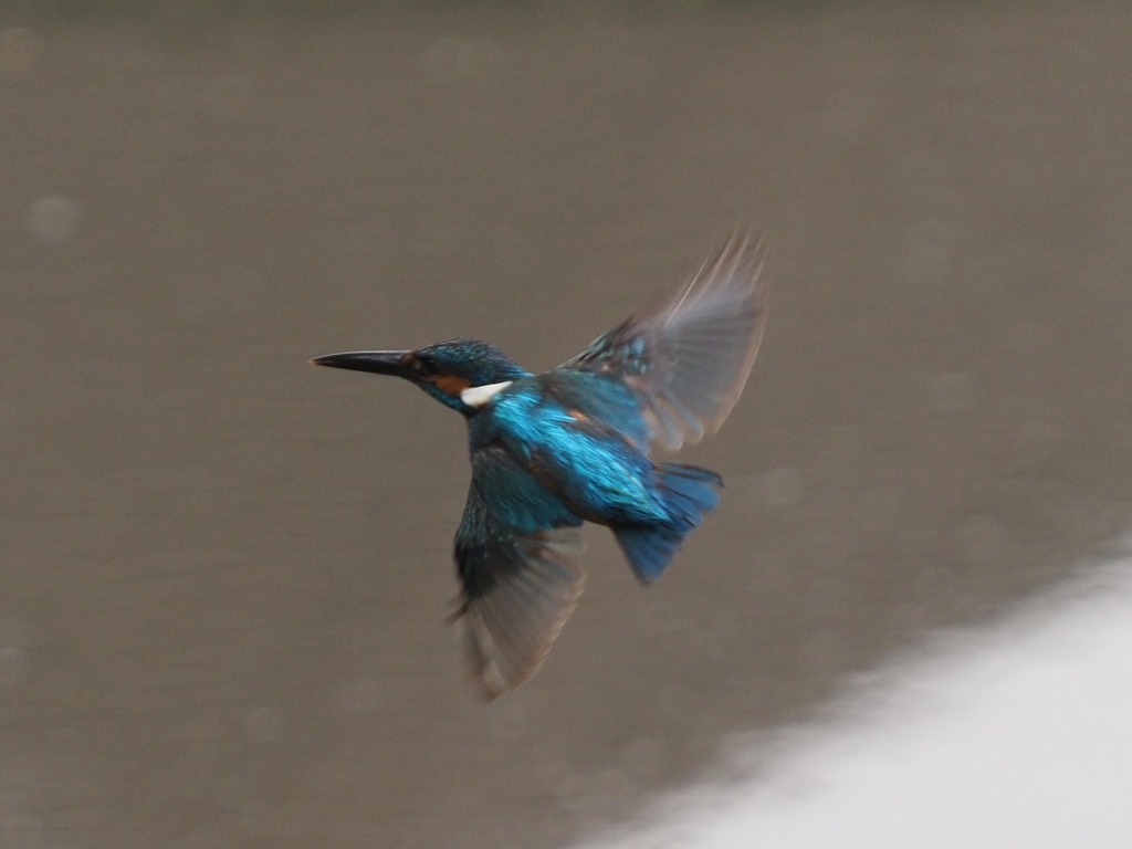 華麗なるターン 3