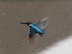 華麗なるターン 3