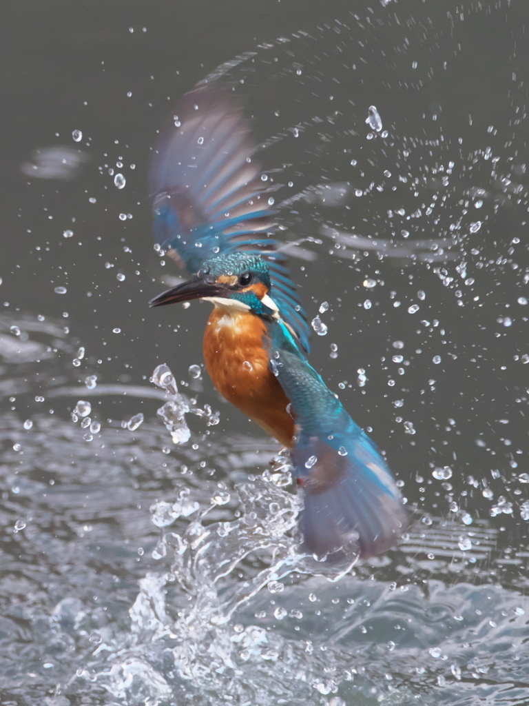 浮上 274（父親）