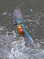 浮上 274（父親）