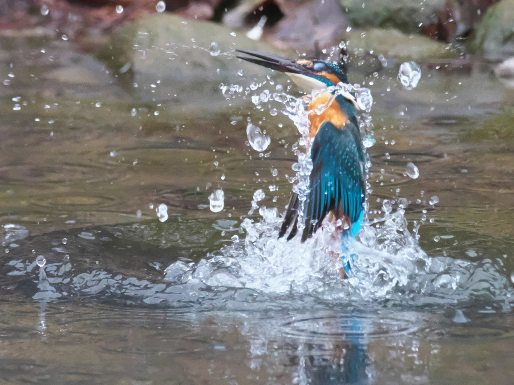 浮上 354（父親）