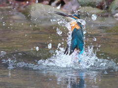 浮上 354（父親）