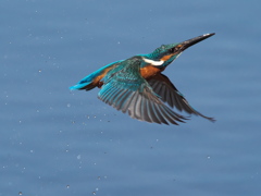 浮上 416-2（父親）