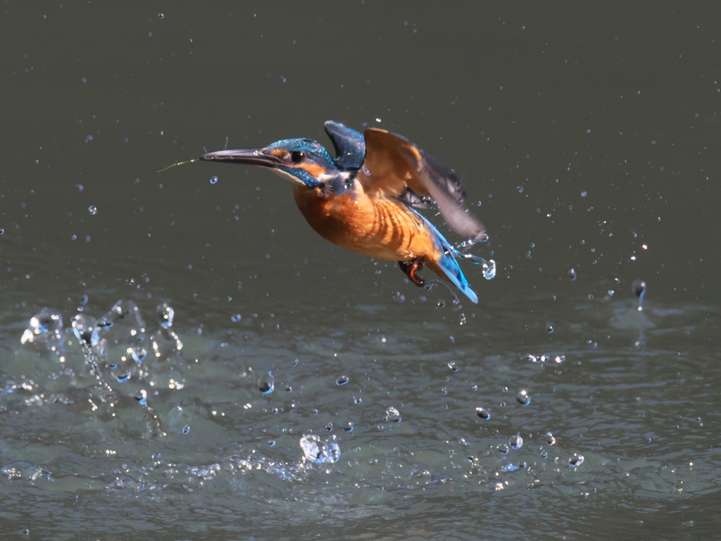 浮上 133-3（父親）